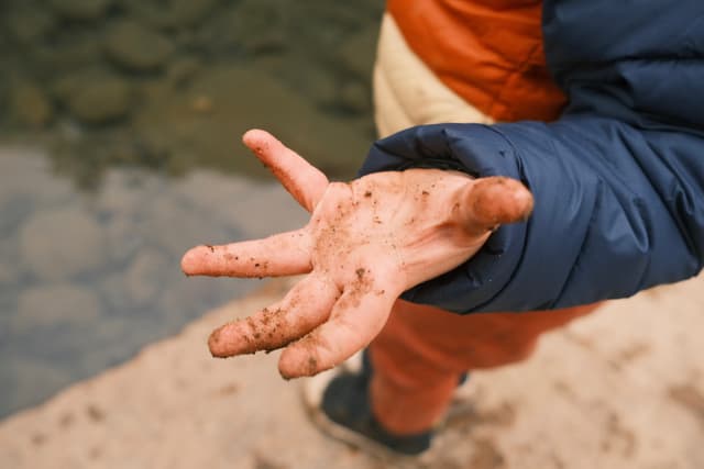 Dirt