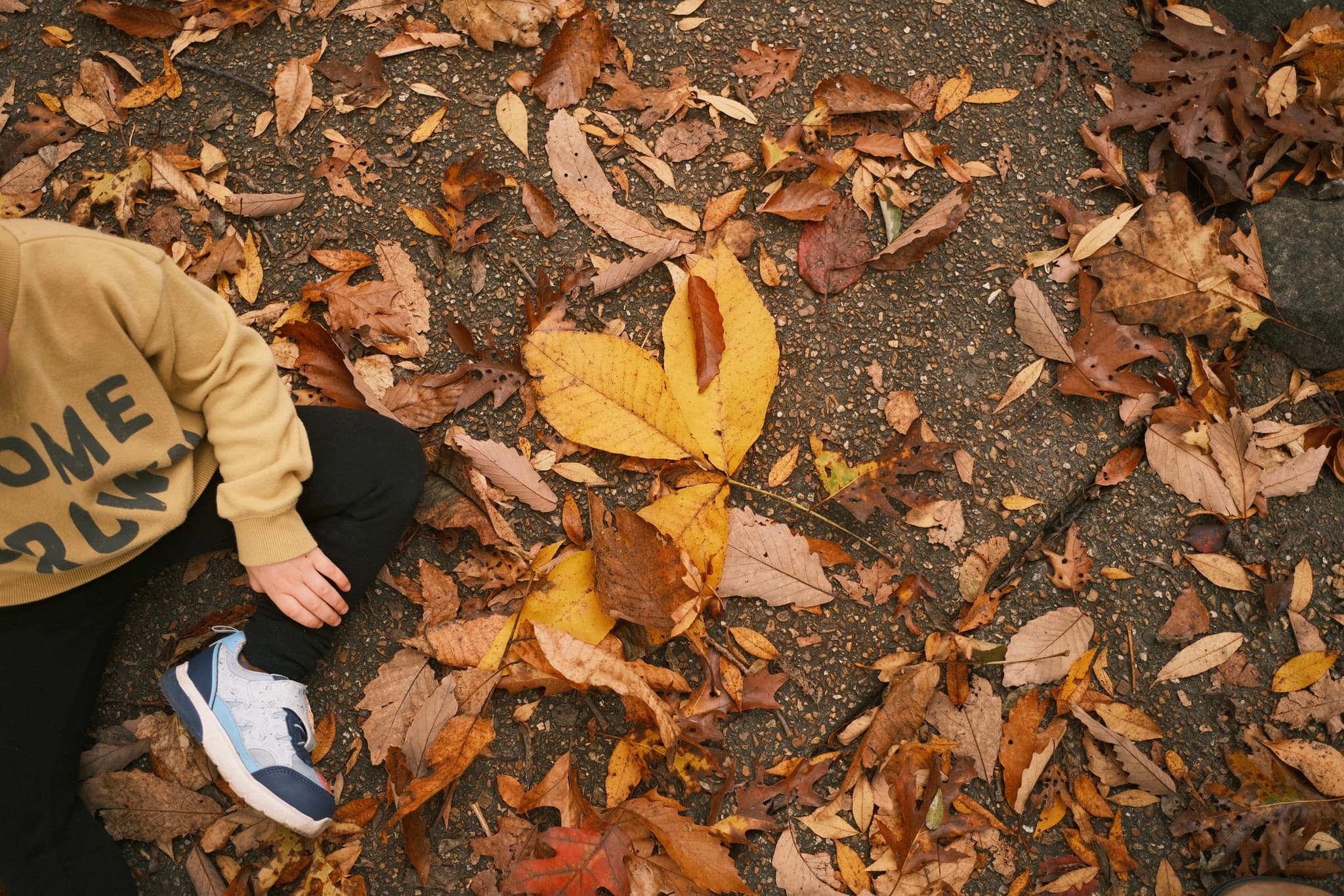 Autumn Floor